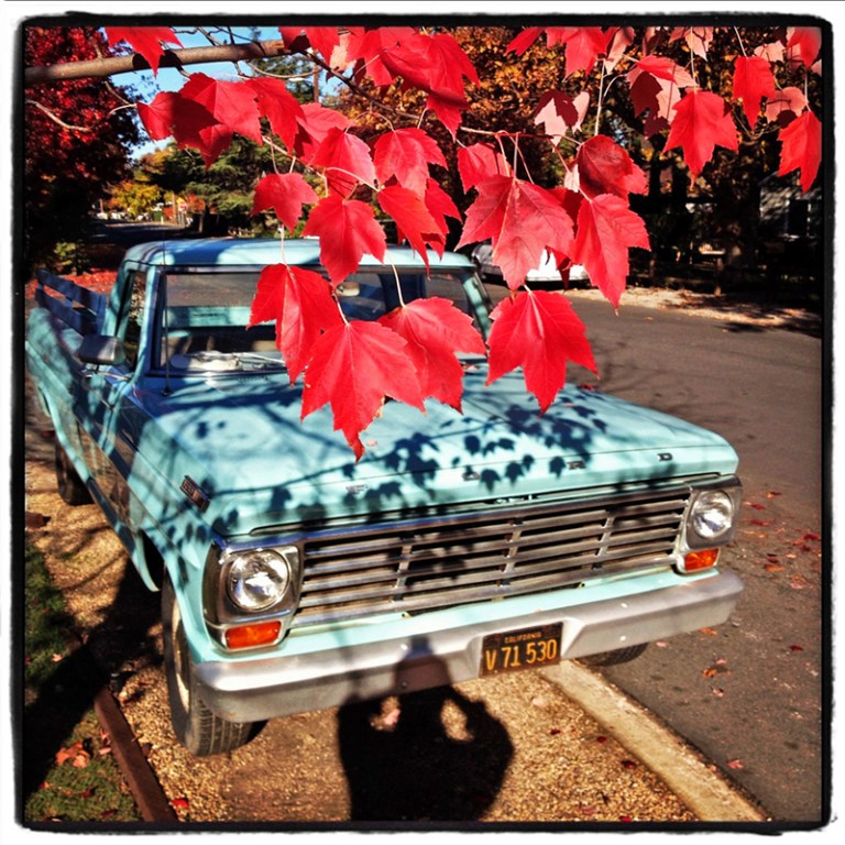 Light Blue Truck Blog iDiarist