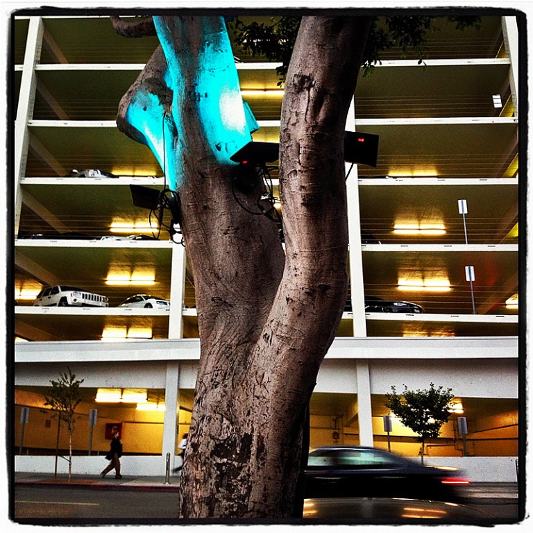 Parking Lot Blog iDiarist