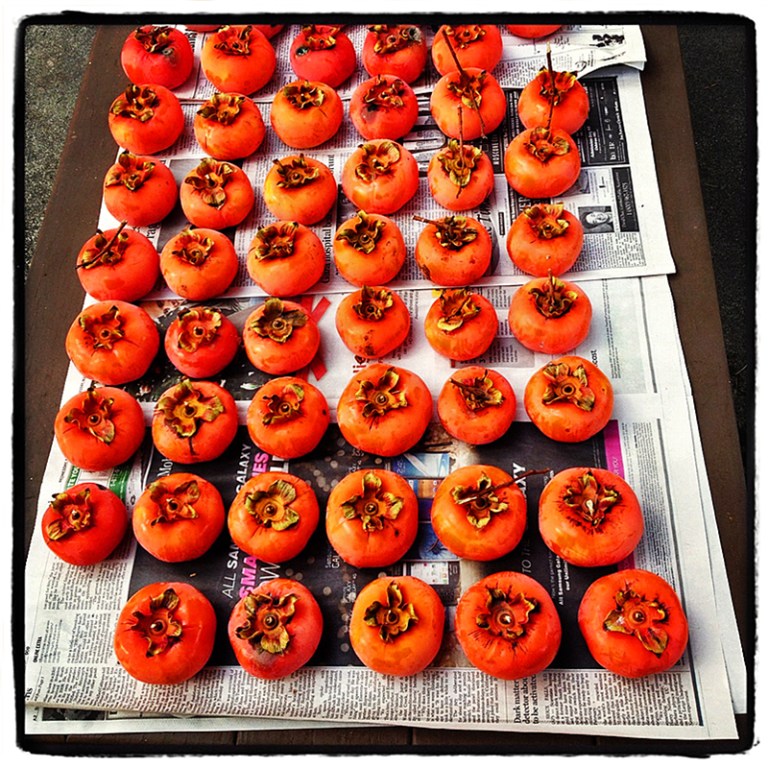 Prrsimmons in the News Blog iDiarist