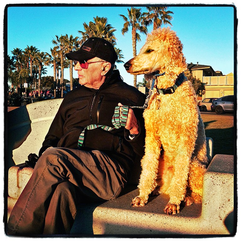 Man & Poddle Blog iDiarist