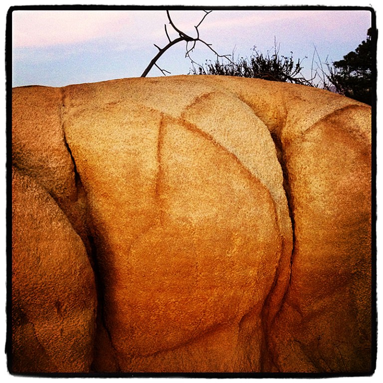 Torrey Pines Sandstone Blog iDiarist