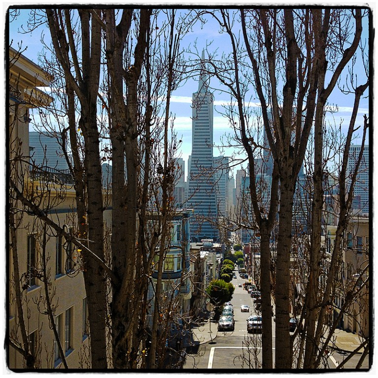 Pyramid & Trees Blog iDiarist2