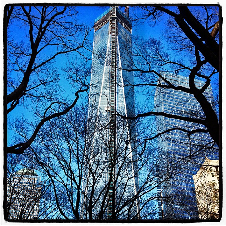 Freedom Tower & Trees Blog iDiarist