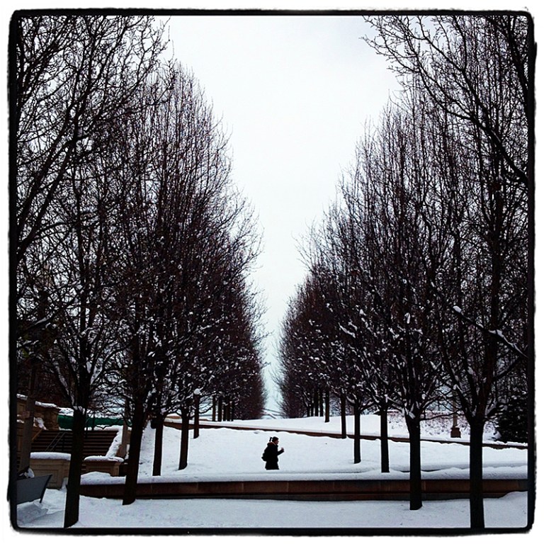 Trees & Snow Blog iDiarist