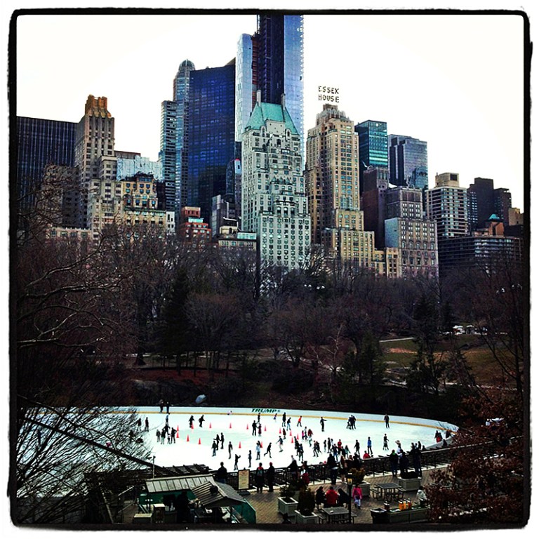 Central Park #5 Blog iDiarist