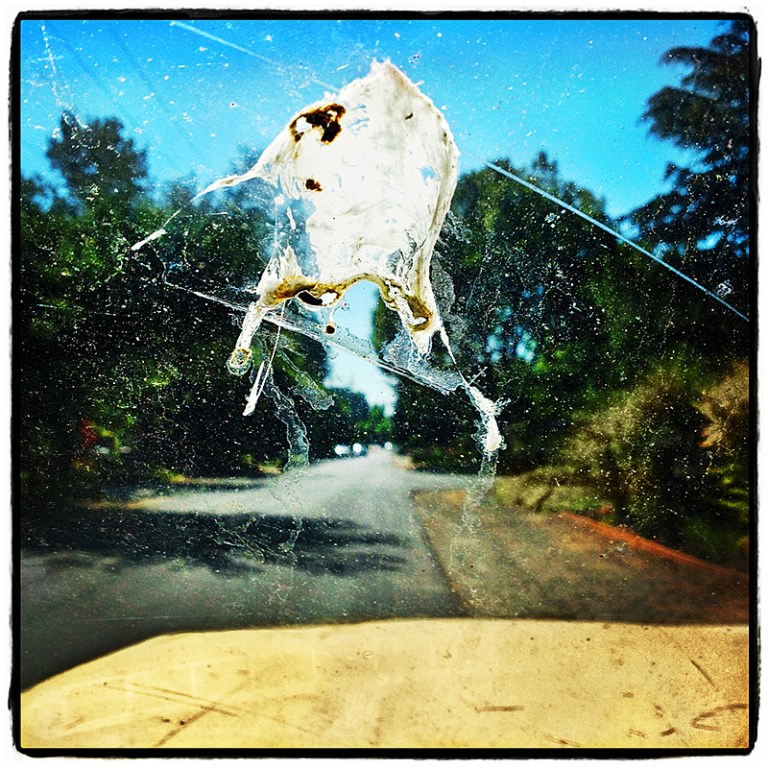 Windshield Abstract Blog iDiarist