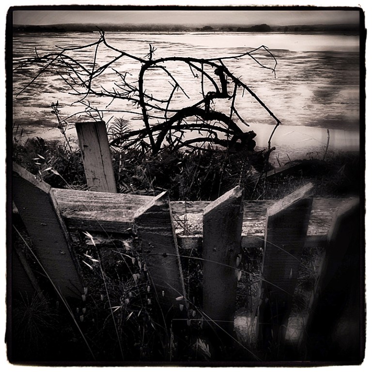 Bodega Bay Blog iDiarist