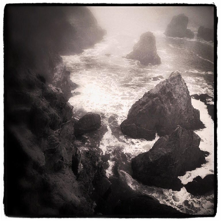 Bodega Head #2 Blog iDiarist