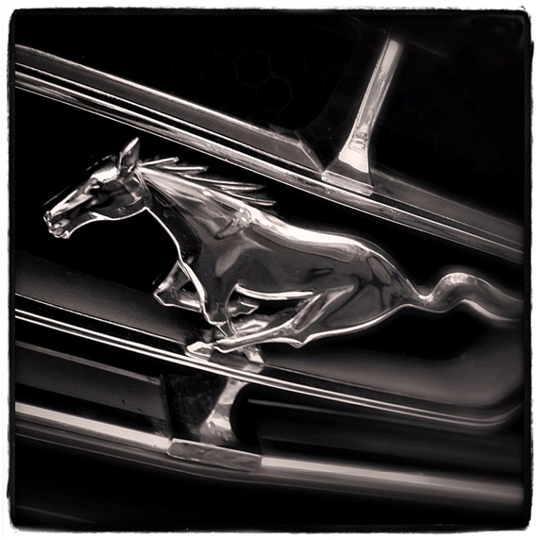 Mustang Blog iDiarist