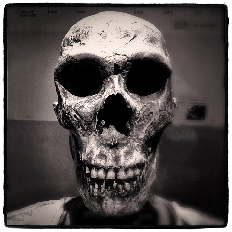 Boo #2 Blog iDiarist