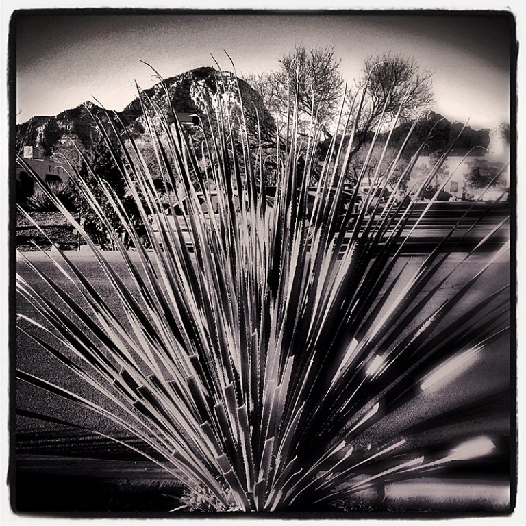 Sedona Parking Lot Blog iDiarist