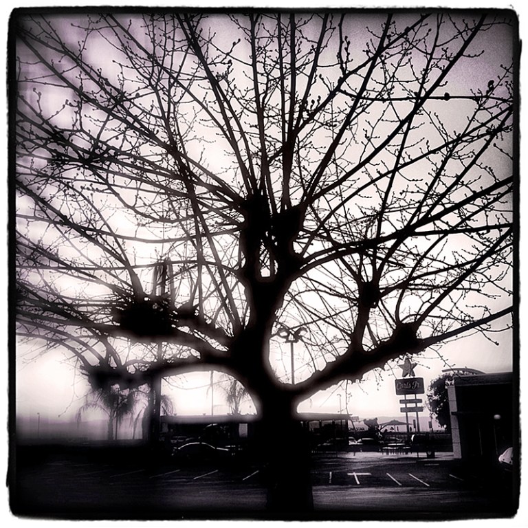 Buttonwillow #2 Blog iDiarist