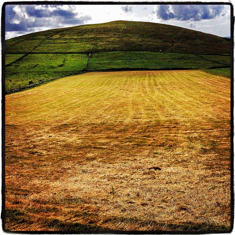 Cut Field Ireland Blog iDiarist