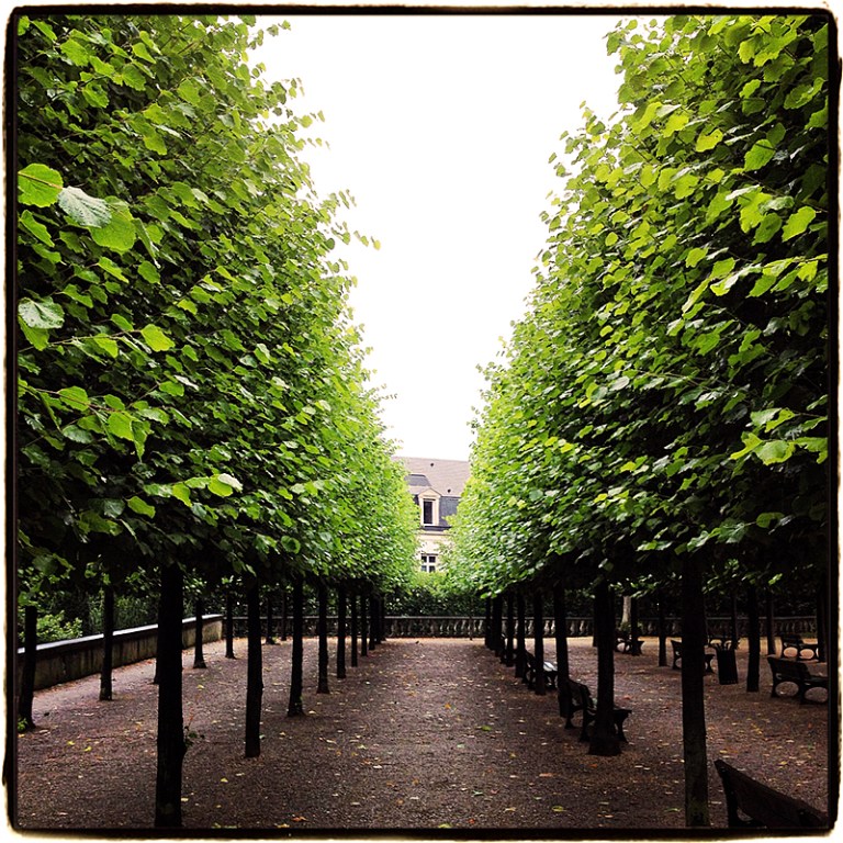 Garden at Bourges #3 Blog iDiarist