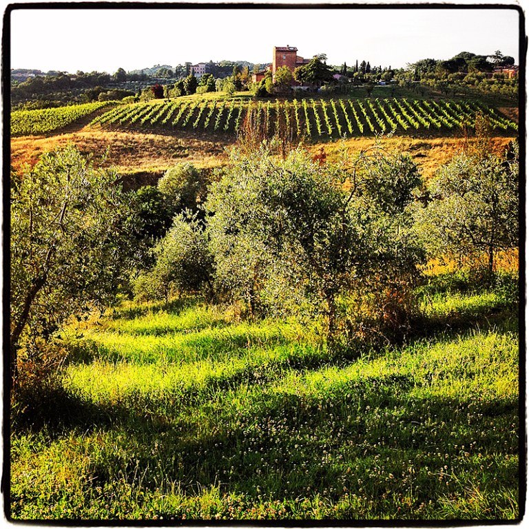 Tuscany Blog iDiarist