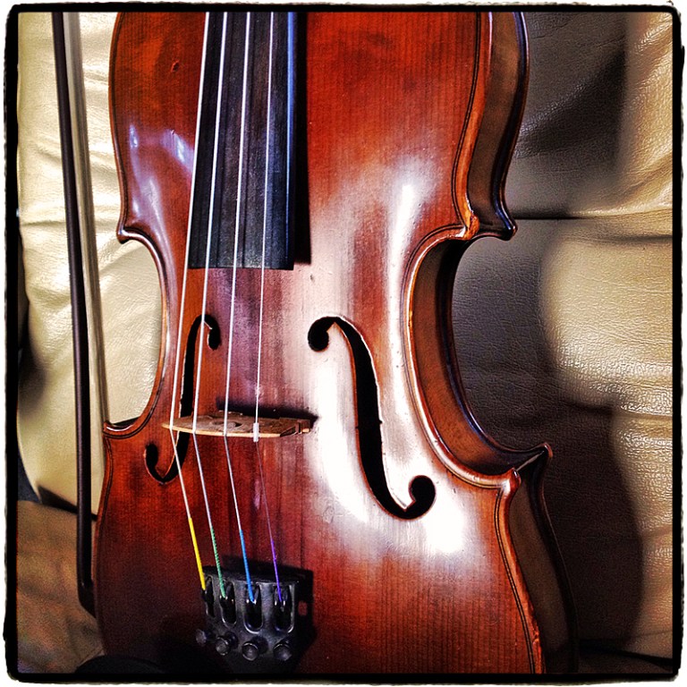 My Fiddle Blog iDiarist