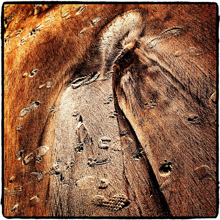 Sand Man Blog Idiarist