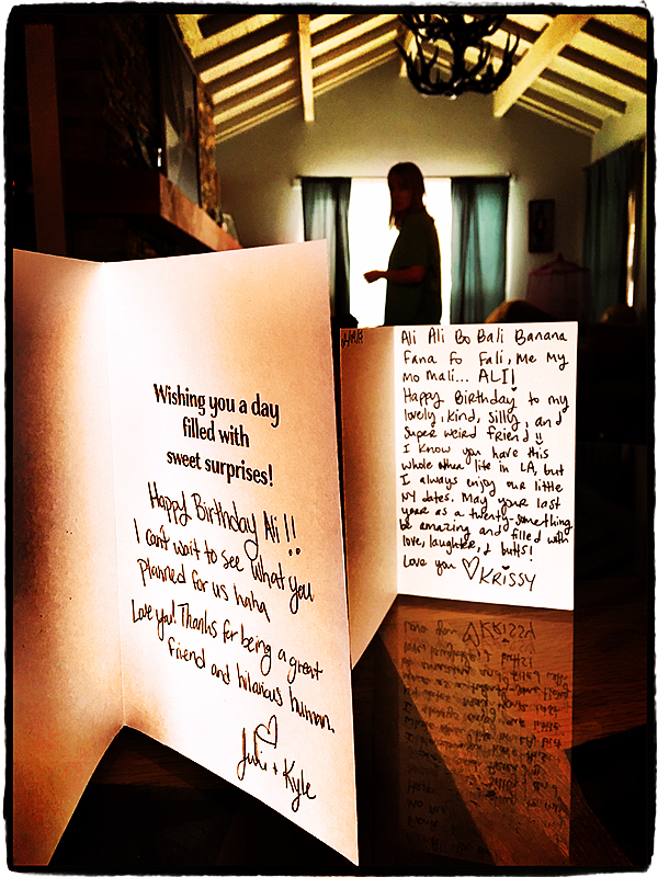 alis-birthday-cards-blog-idiarist