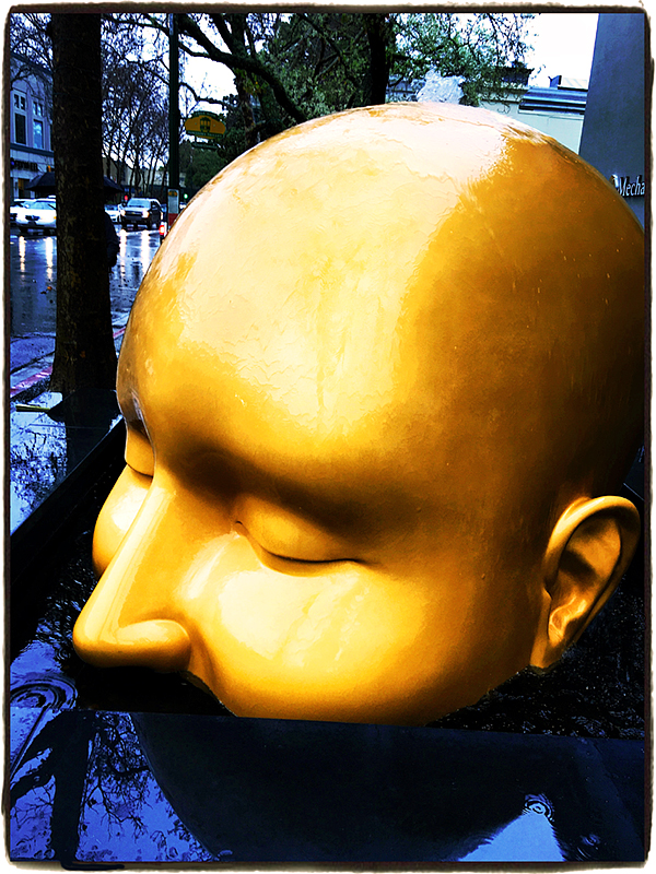 Head Walnut Creek Blog iDiarist