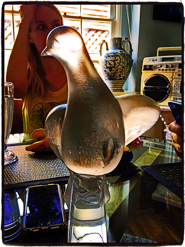 Dove &amp; Ali iDiarist Blurb