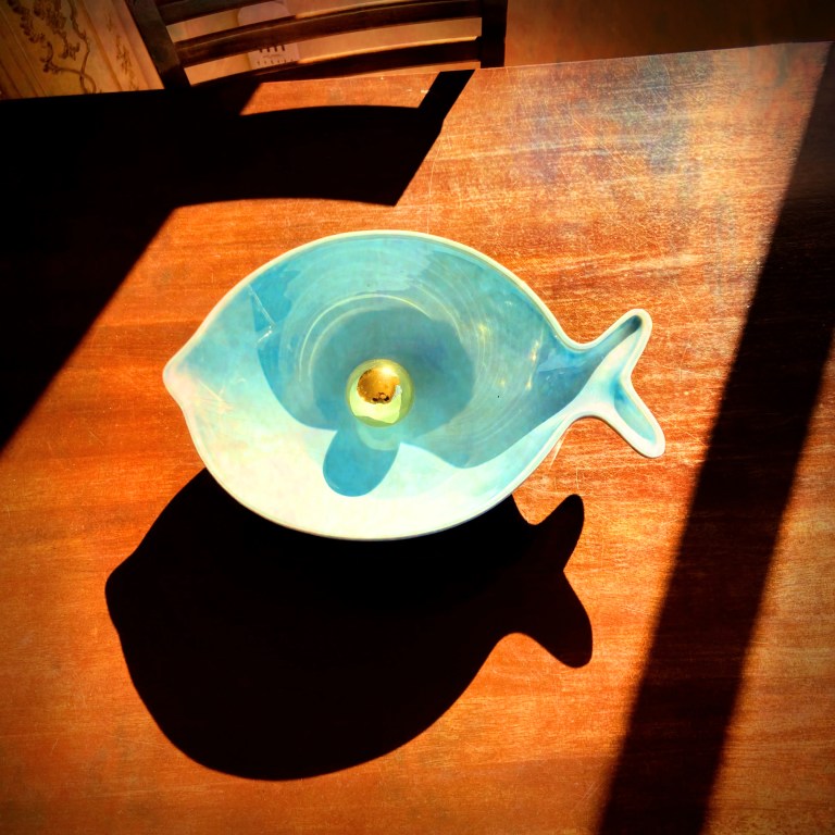 Fish Bowl iDiarist Blog